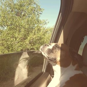 Meet your Posher, Stacy